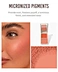 custom logo Makeup Blusher